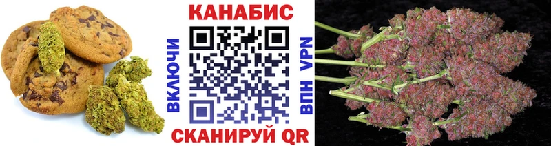 Canna-Cookies конопля  Ессентукская 