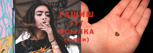 индика Красноперекопск