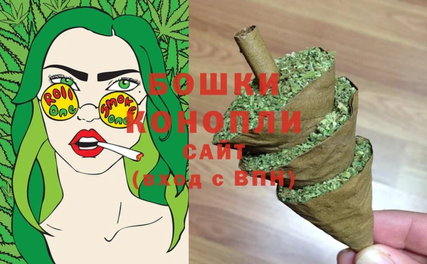 индика Красноперекопск