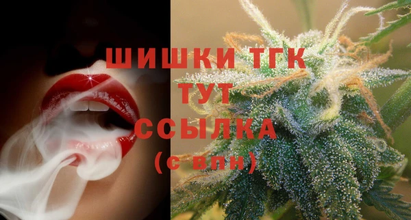 индика Красноперекопск