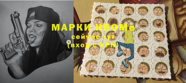 индика Красноперекопск