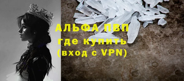 индика Красноперекопск