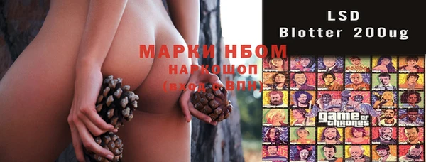 индика Красноперекопск